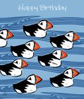 Chris McColl - NEW DESIGNS!