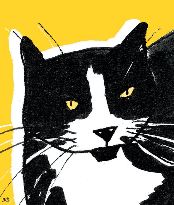 Chris McColl - new designs