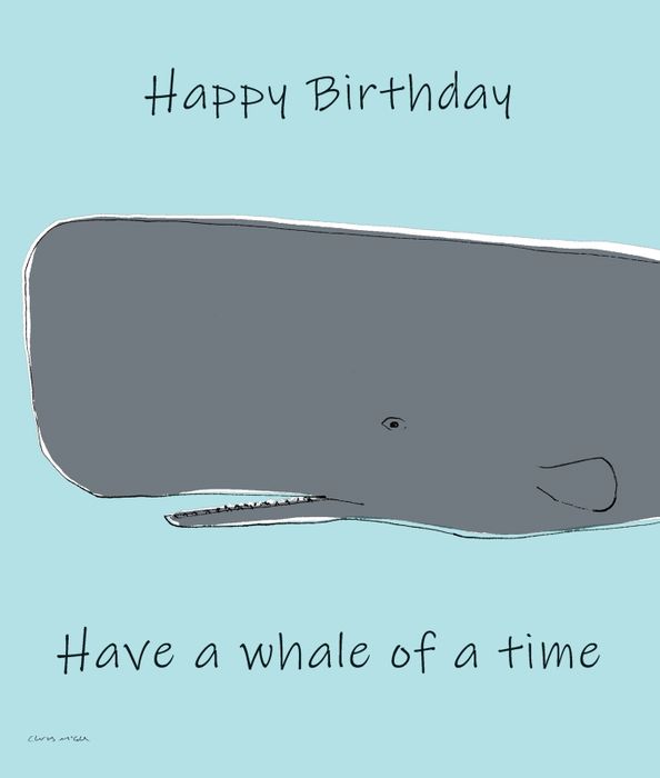 Chris McColl - new designs