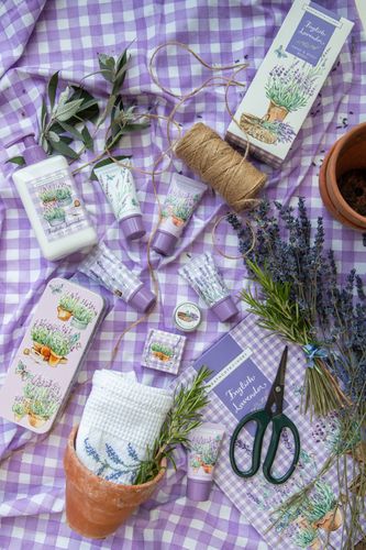 English Lavender