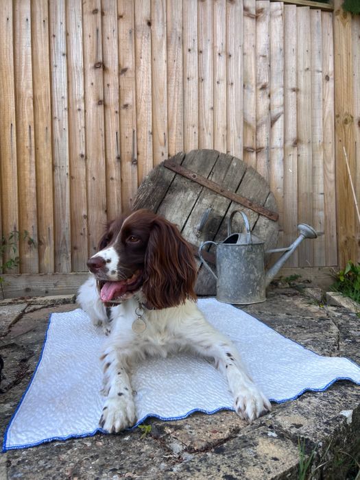 Ivy & Duke X CoolSoft Pet Cooling Mat