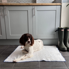 Ivy & Duke X CoolSoft Pet Cooling Mat