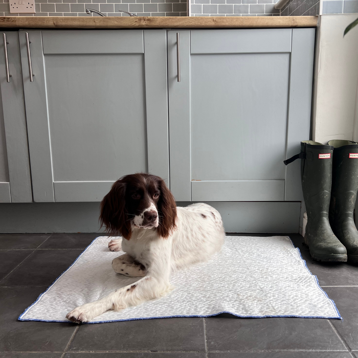 Ivy & Duke X CoolSoft Pet Cooling Mat