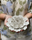 Coral Ivory