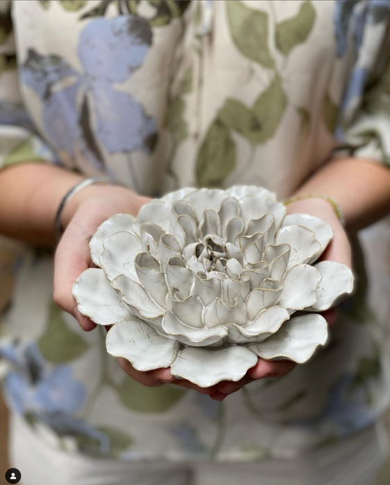 Coral Ivory