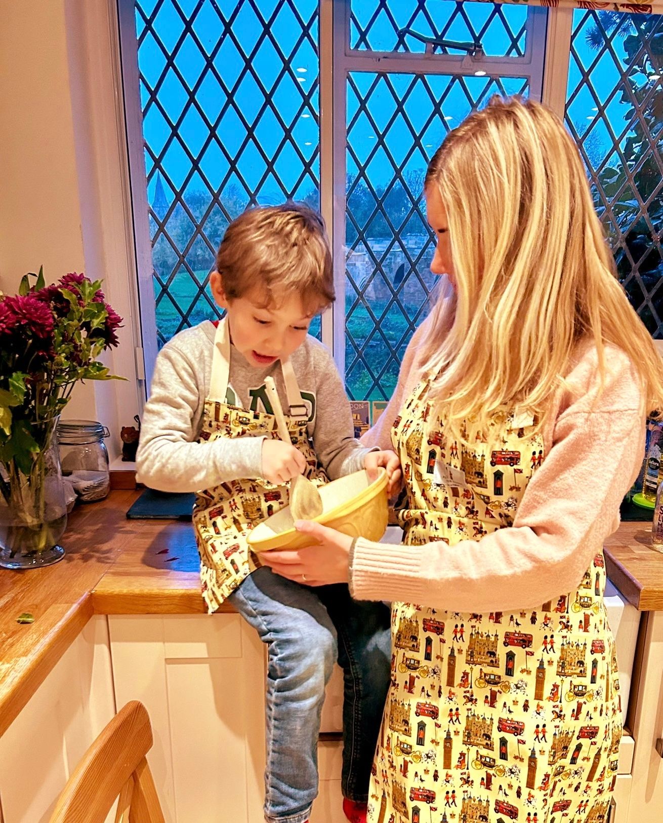Adult Aprons