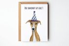 Cake! - Whippet Birthday Greeting Card
