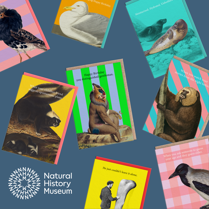Natural History Museum