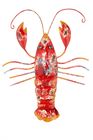 #9913 Red Lobster