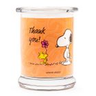 Peanuts Thank You - 250g Candle