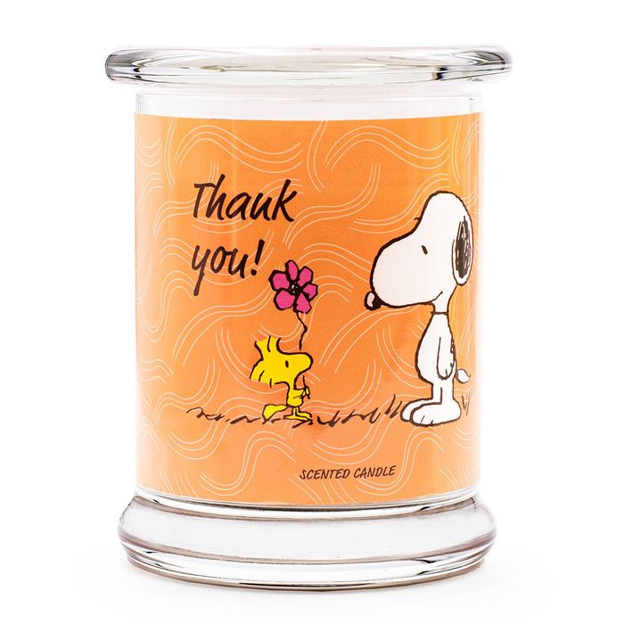 Peanuts Thank You - 250g Candle