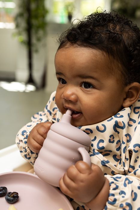 Chomp 3-in-1 Sippy Cup