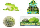 Squishy Frog and Ball Fidget Toy