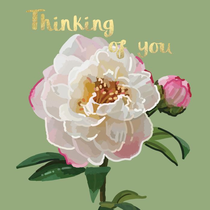 Peonies