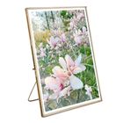 Photoframes