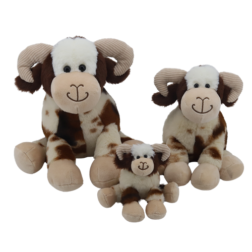 Brand New Jacob Sheep