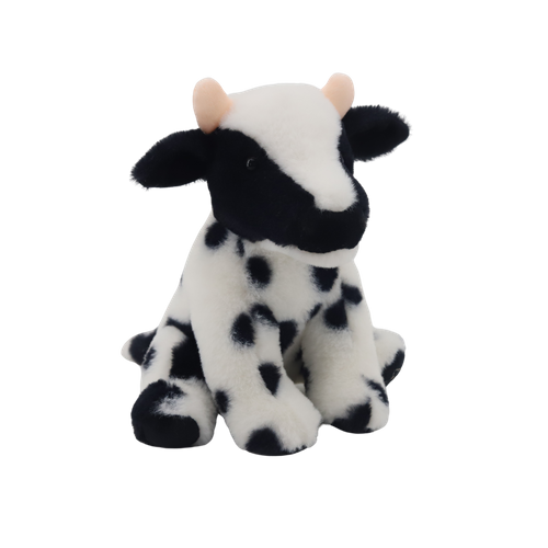 Brand New Dairy Cows