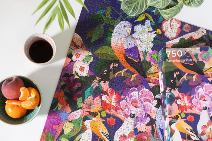 Art & Soul Bird Watching 750-piece Jigsaw Puzzle