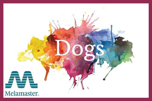 Dogs