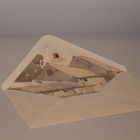 Greetings Cards