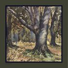 Autumn-tinged Woodland Silk Scarf