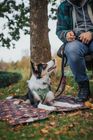 Dog travel bed / settle mats