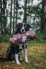Dog travel bed / settle mats