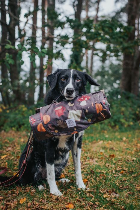 Dog travel bed / settle mats