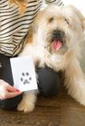 Pearhead Pet Clean Touch Ink Pad