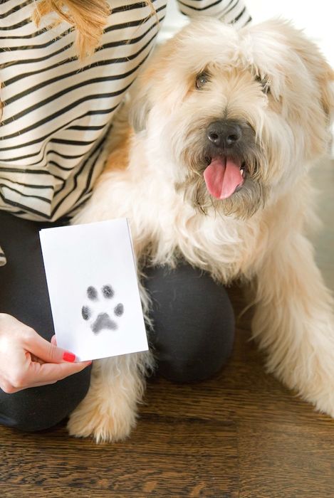 Pearhead Pet Clean Touch Ink Pad