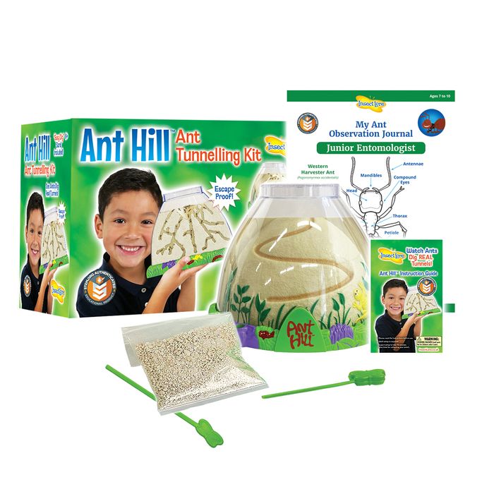 NEW for 2025 - Ant Hill