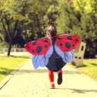 NEW for 2025 - Ladybird Wings