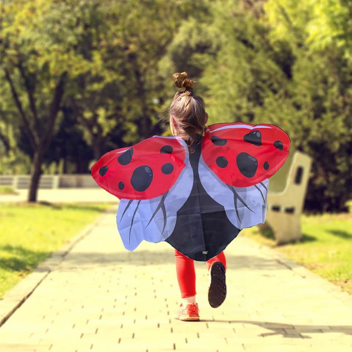 NEW for 2025 - Ladybird Wings