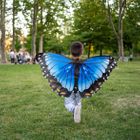 NEW for 2025 - Blue Morpho Butterfly Wings