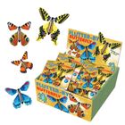 Flutter-by Butterfly Assorted