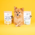 Make-Your-Own Dog Treats w Cookie Cutter