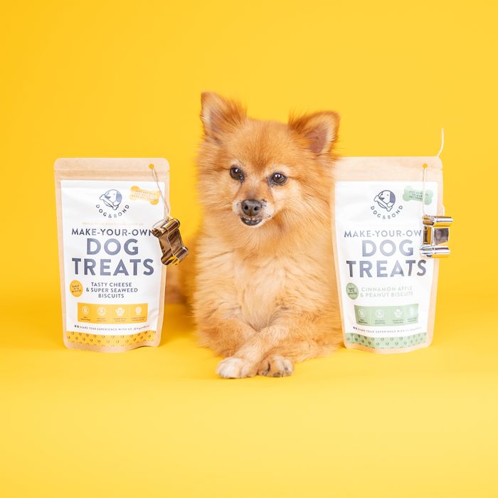 Make-Your-Own Dog Treats w Cookie Cutter