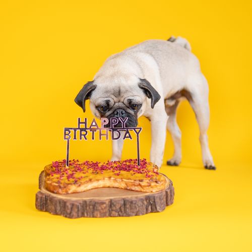 Dog Cake Topper