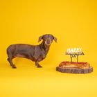 Dog Cake Topper