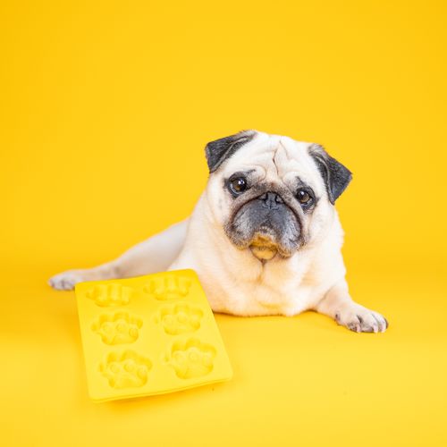 6-Paw Silicone Baking Mould