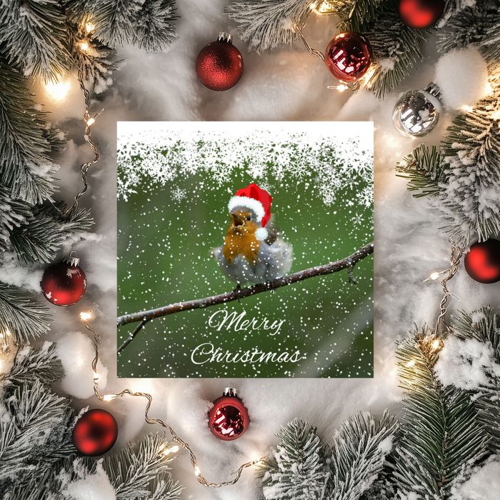 Christmas Cards