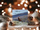 Christmas Cards
