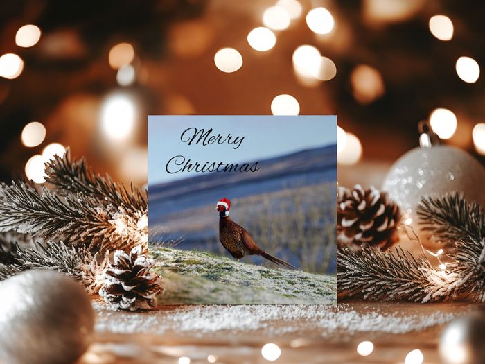 Christmas Cards