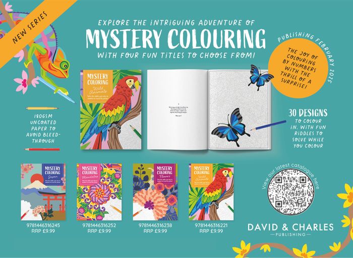 Mystery Colouring Book Series