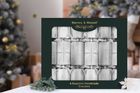 Exquisite Silver Crackers 13.5