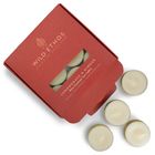 Wild Ethos Lemongrass & Ginger Scented Tealights