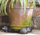 Potty Feet - Give your pots a little lift!
