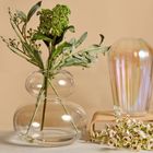 Vases by Anton Studio Designs