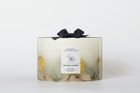 French Connection Botanical Infused Lemon, Neroli & Cedarwood Candle
