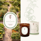 NEW & ELEVATED - Coast & Country Collection (Core)